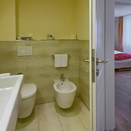 Flair Schwanen Hotell 3*