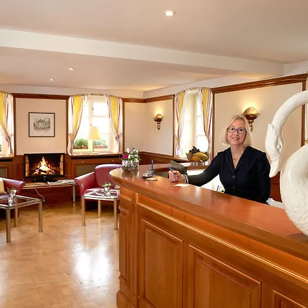 Flair Schwanen Hotel