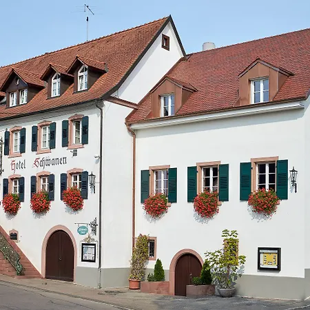 Flair Schwanen Hotell