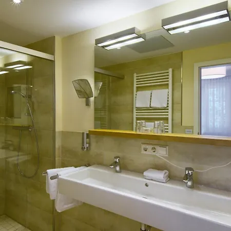 Hotel Flair Schwanen 3*