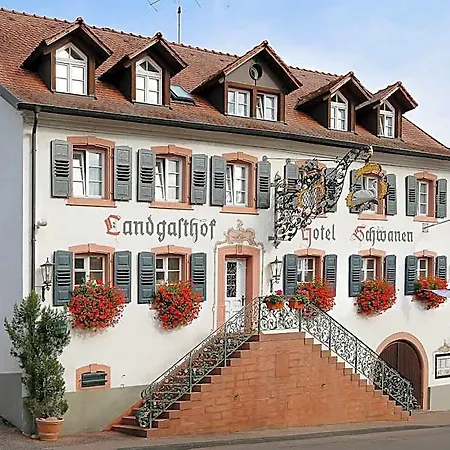 Flair Schwanen Hotell
