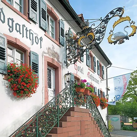 Flair Schwanen 3*