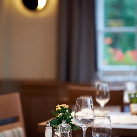 Hotell Flair Schwanen