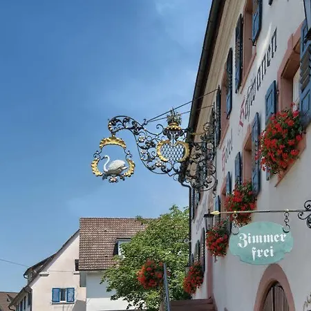 Flair Schwanen バート・ベリンゲン
