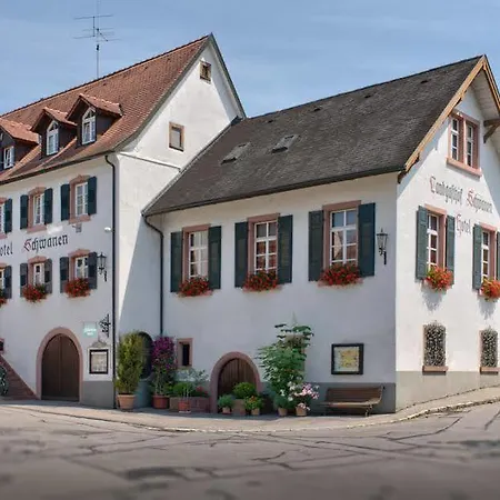 Hotel Flair Schwanen 3*