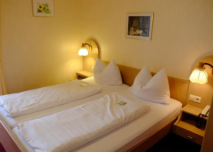 Otel Flair Schwanen Bad Bellingen