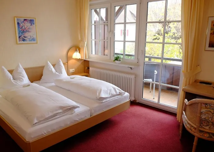 Flair Schwanen 3* Bad Bellingen