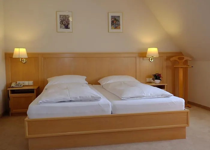 Flair Schwanen Otel Bad Bellingen