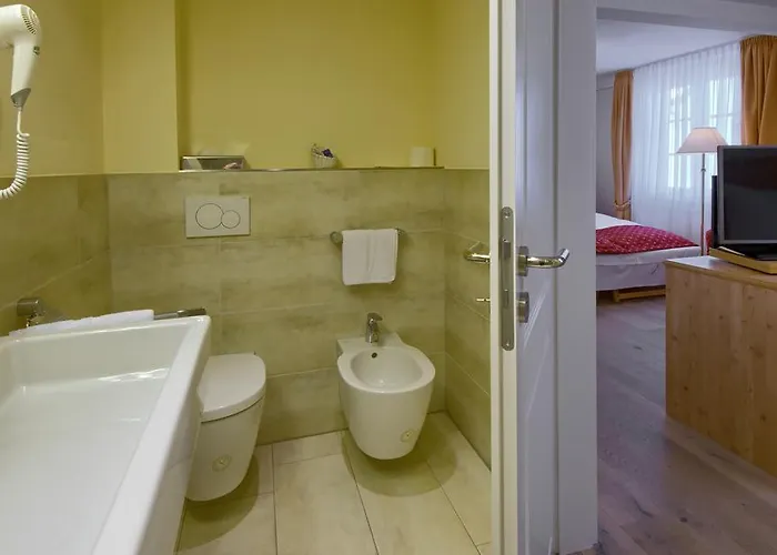 Flair Schwanen Otel 3*