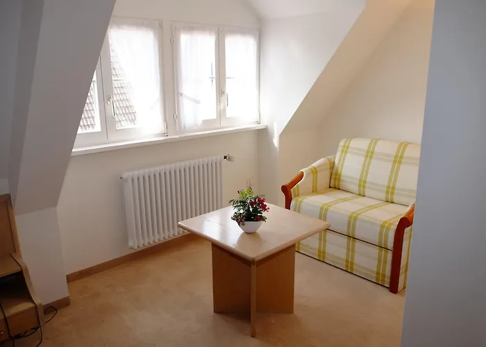 Otel Flair Schwanen Bad Bellingen