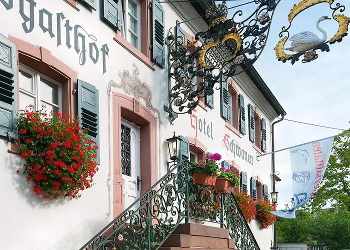 Flair Schwanen Bad Bellingen