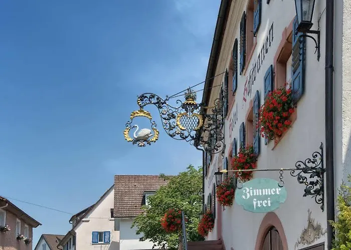 Flair Schwanen Bad Bellingen